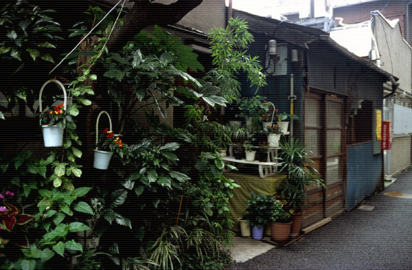 Mukojima, Tokyo 1998