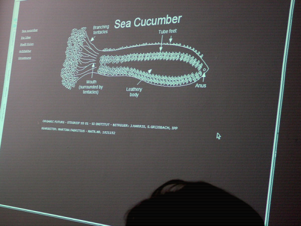 Final Presentation